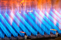 Banavie gas fired boilers